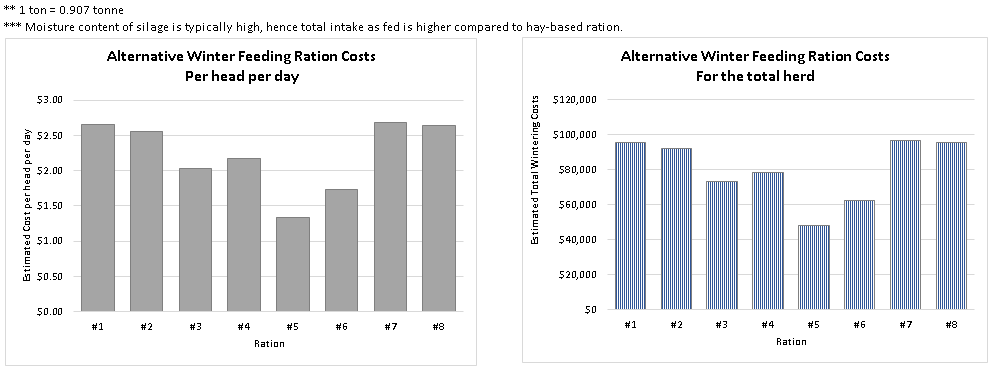 estimated costs of alternative winter cattle feeding rations per animal and per herd for the season