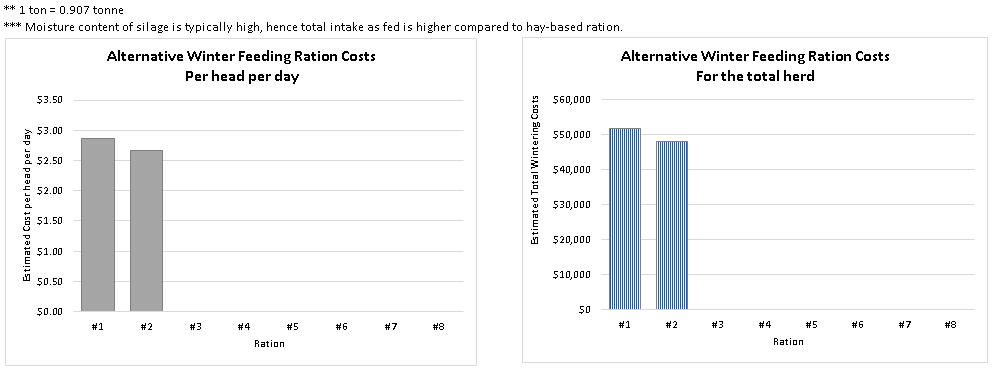 alternative winter cattle feeding ration costs per animal per day and per herd