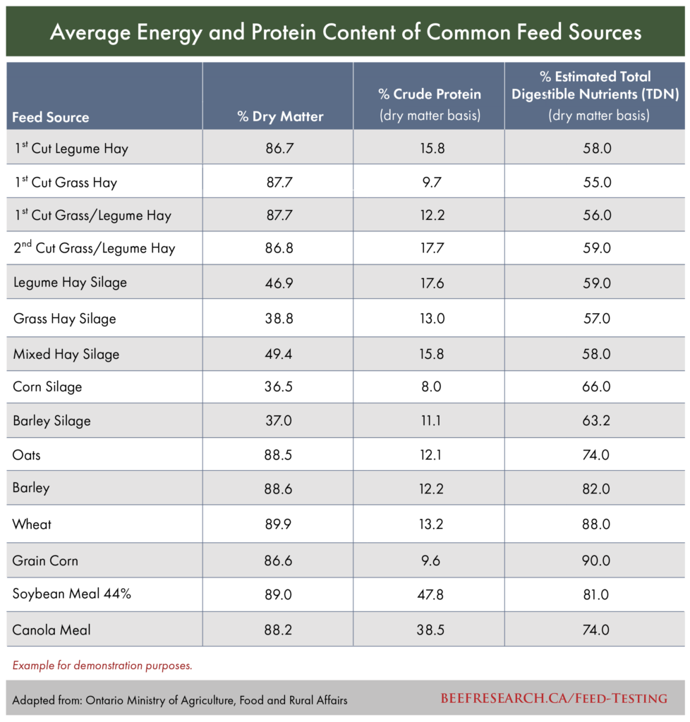 average energy and protein content of common feed sources