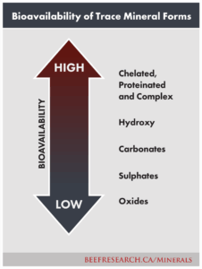 bioavailability of trace mineral forms