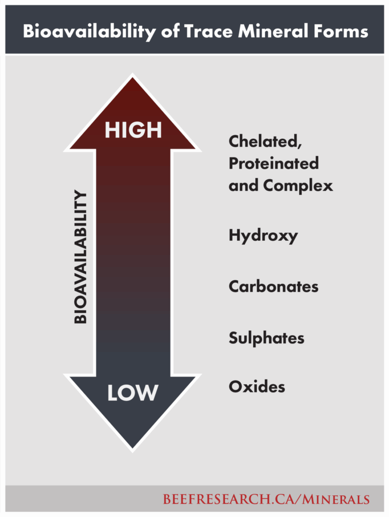 bioavailability of trace mineral forms