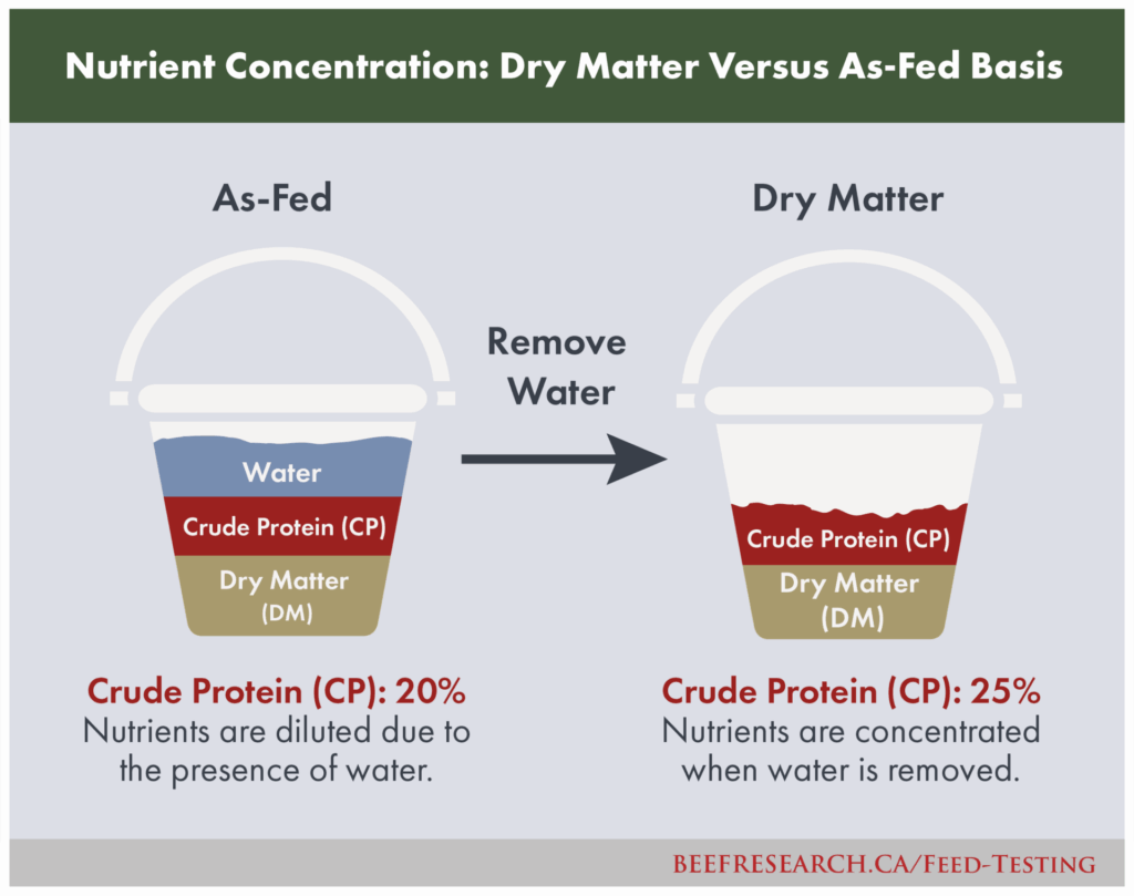 nutrient concentration: dry matter versus as-fed basis