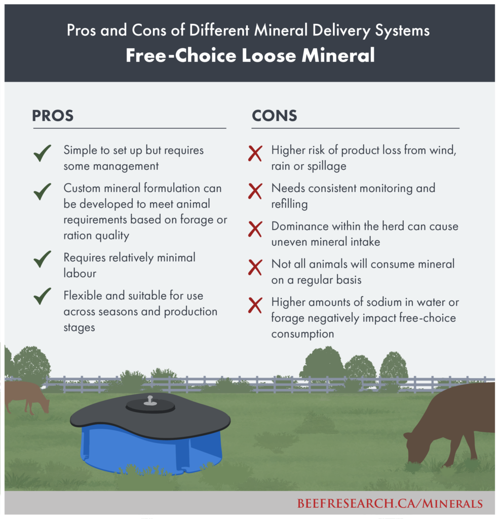 pros and cons of free-choice loose mineral