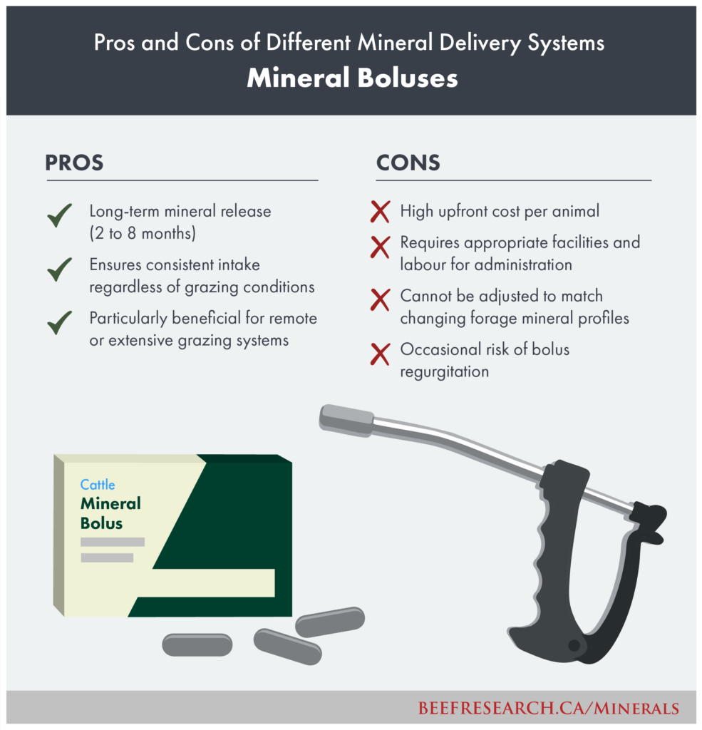 pros and cons of mineral boluses