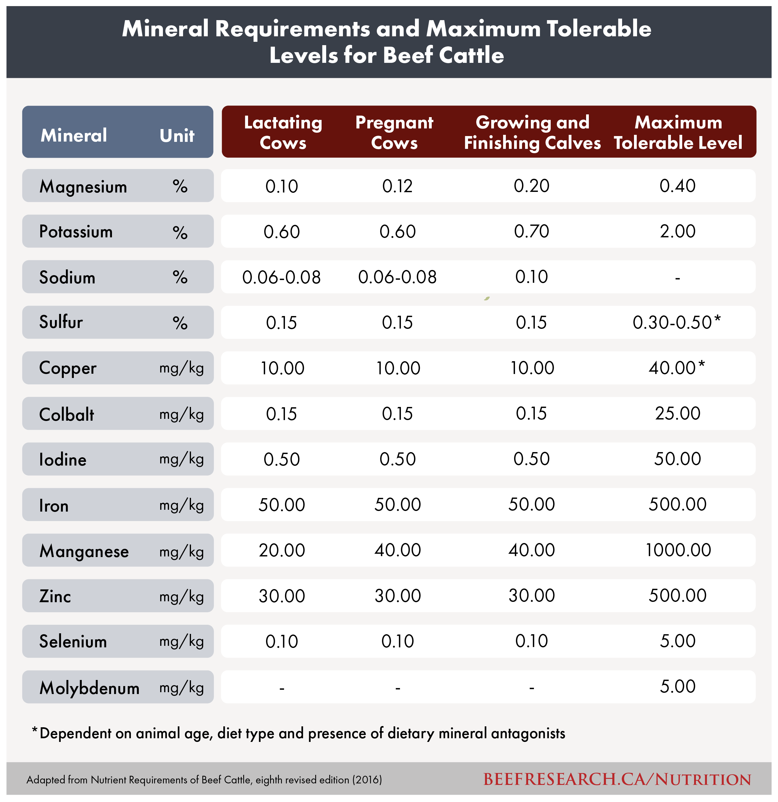 Mineral Requirements and Maximum Tolerable Levels for Beef Cattle