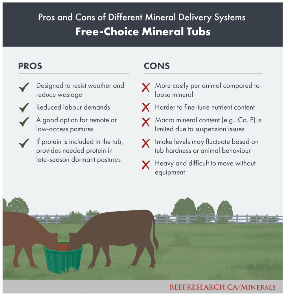 pros and cons of free-choice mineral tubs