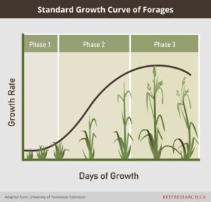 Standard growth curve of forages