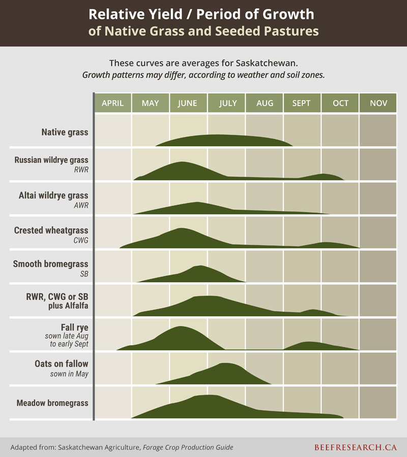 relative yield/period of growth of native grass and seeded pastures.