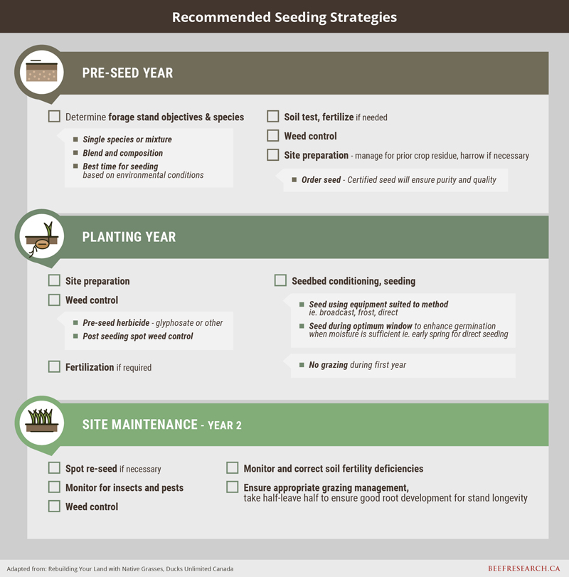 recommended seeding strategies