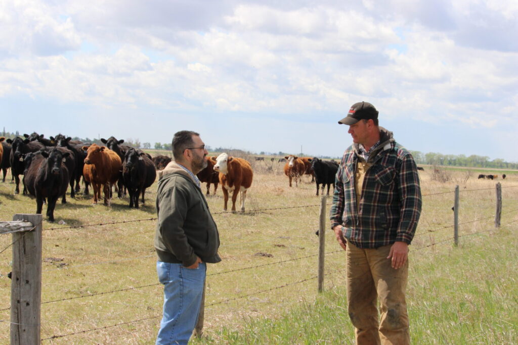 beef researcher mentorship program participants talking in front of cattle herd