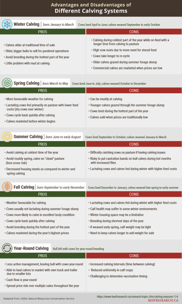 Advantages and disadvantages of different calving systems