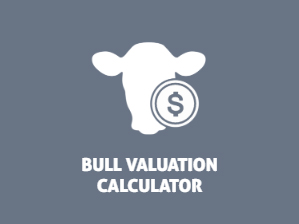 The Beef Cattle Research Council's bull valuation calculator