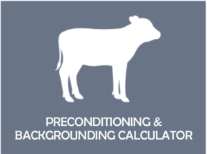 The Beef Cattle Research Council's preconditioning and backgrounding calculator