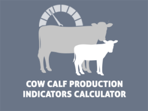 The Beef Cattle Research Council's cow-calf production indicators calculator