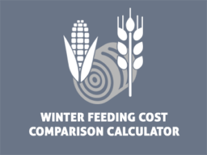 The Beef Cattle Research Council's winter feeding cost comparison calculator