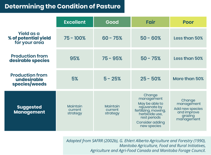 determining the condition of pasture