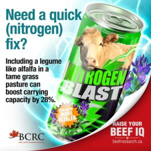 including a legume like alfalfa in a pasture can boost carrying capacity by 28%