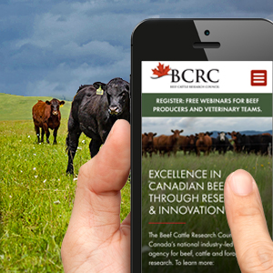 subscribe to beefresearch.ca