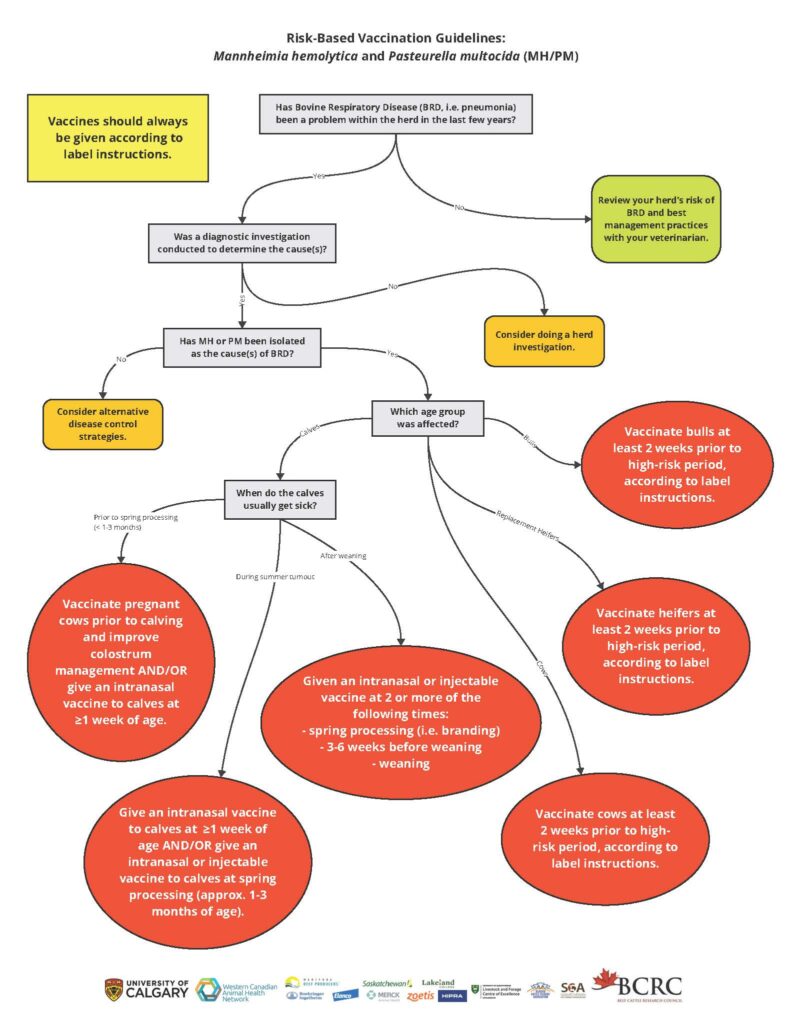 MH PM vaccination guidelines