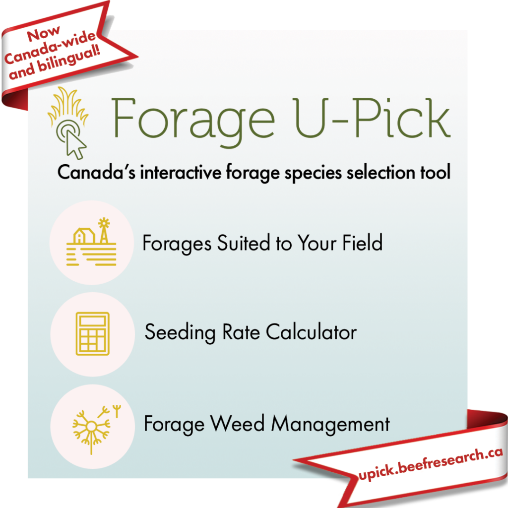 Forage U-Pick tool