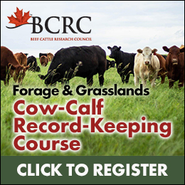 BCRC forage and grasslands cow-calf record-keeping course