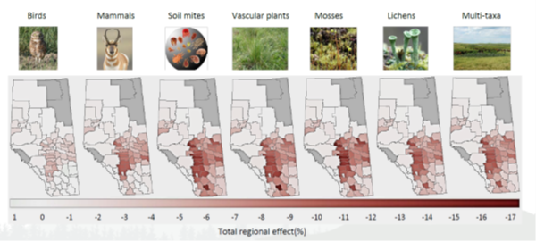 impact of beef production on wildlife and plants