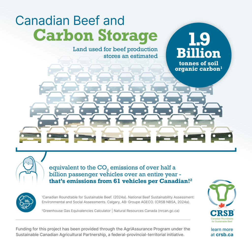 Canadian beef and carbon storage