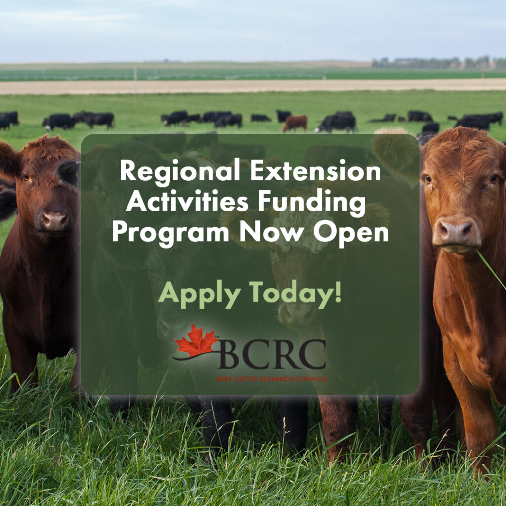 2024 BCRC regional activities funding program now open
