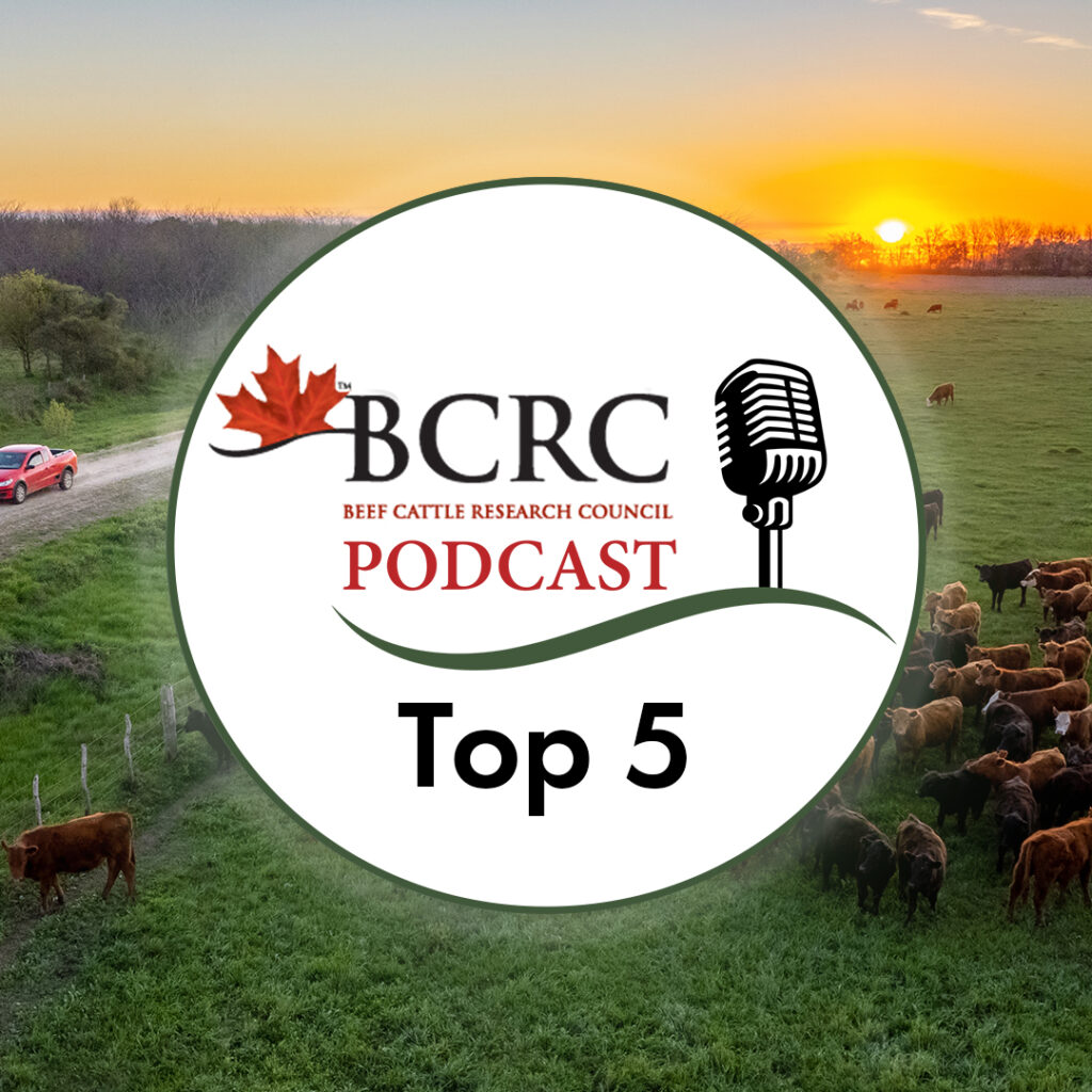 Top 5 Canadian Beef Cattle Podcast episodes