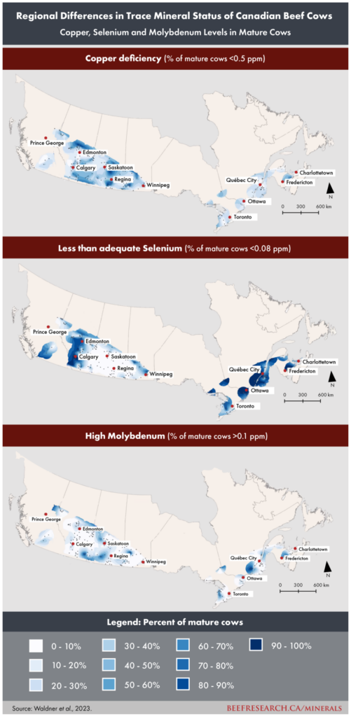 regional differences in trace mineral status of Canadian beef cows