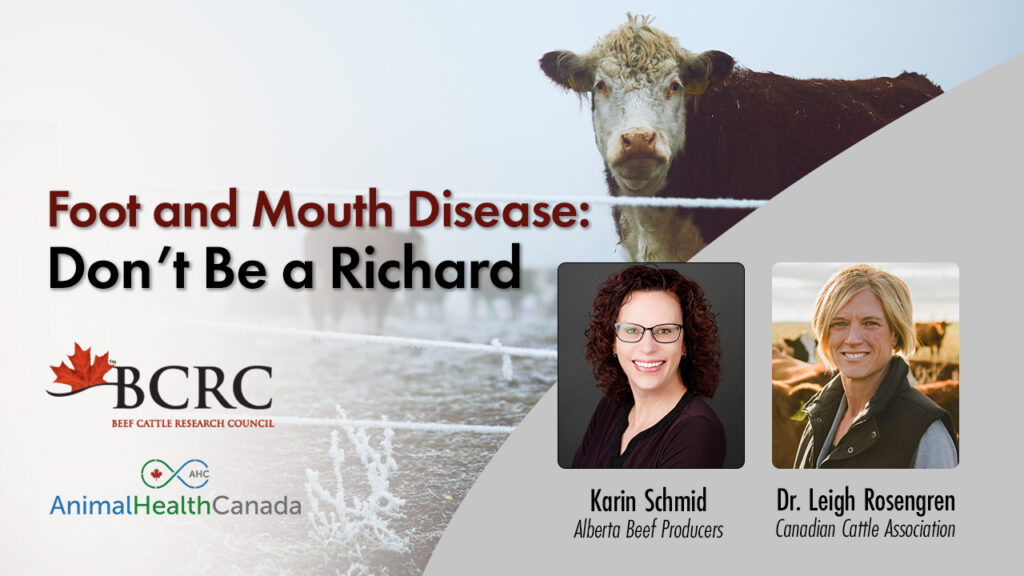FOOT AND MOUTH DISEASE WEBINAR FOR BEEF PRODUCERS