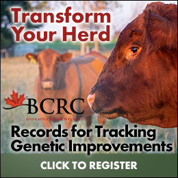 Beef Cattle Research Council's genetics record keeping course