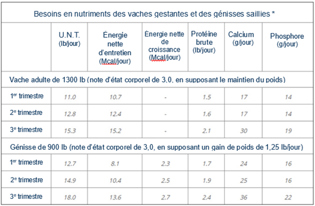 Répondre aux besoins en nutriments des bovins*