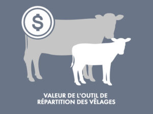 Valeur de l'outil de répartition des vêlages