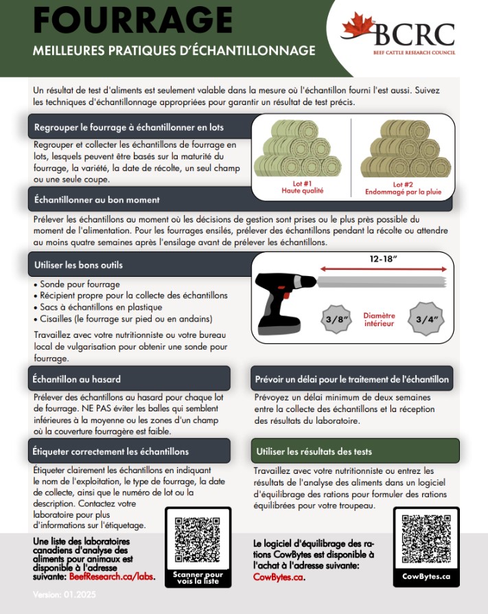 livestock feed testing best practices