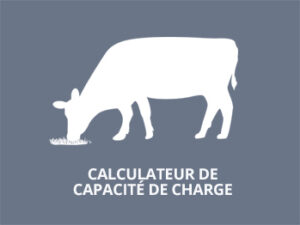 Calculateur de capacité de charge