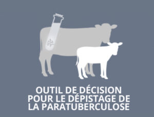 Outil de décision pour le dépistage de la paratuberculose