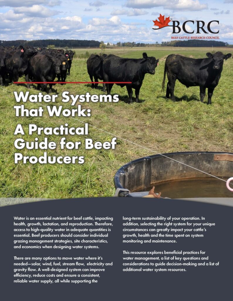 water systems considerations guide