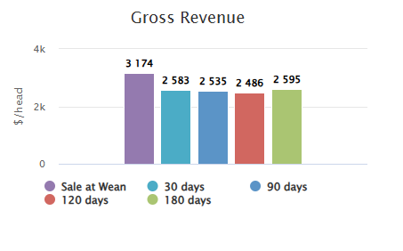 gross revenue comparison between four calf backgrounding scenarios