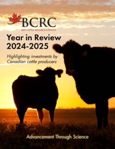 BCRC Year in Review highligting investments by Canadian cattle producers