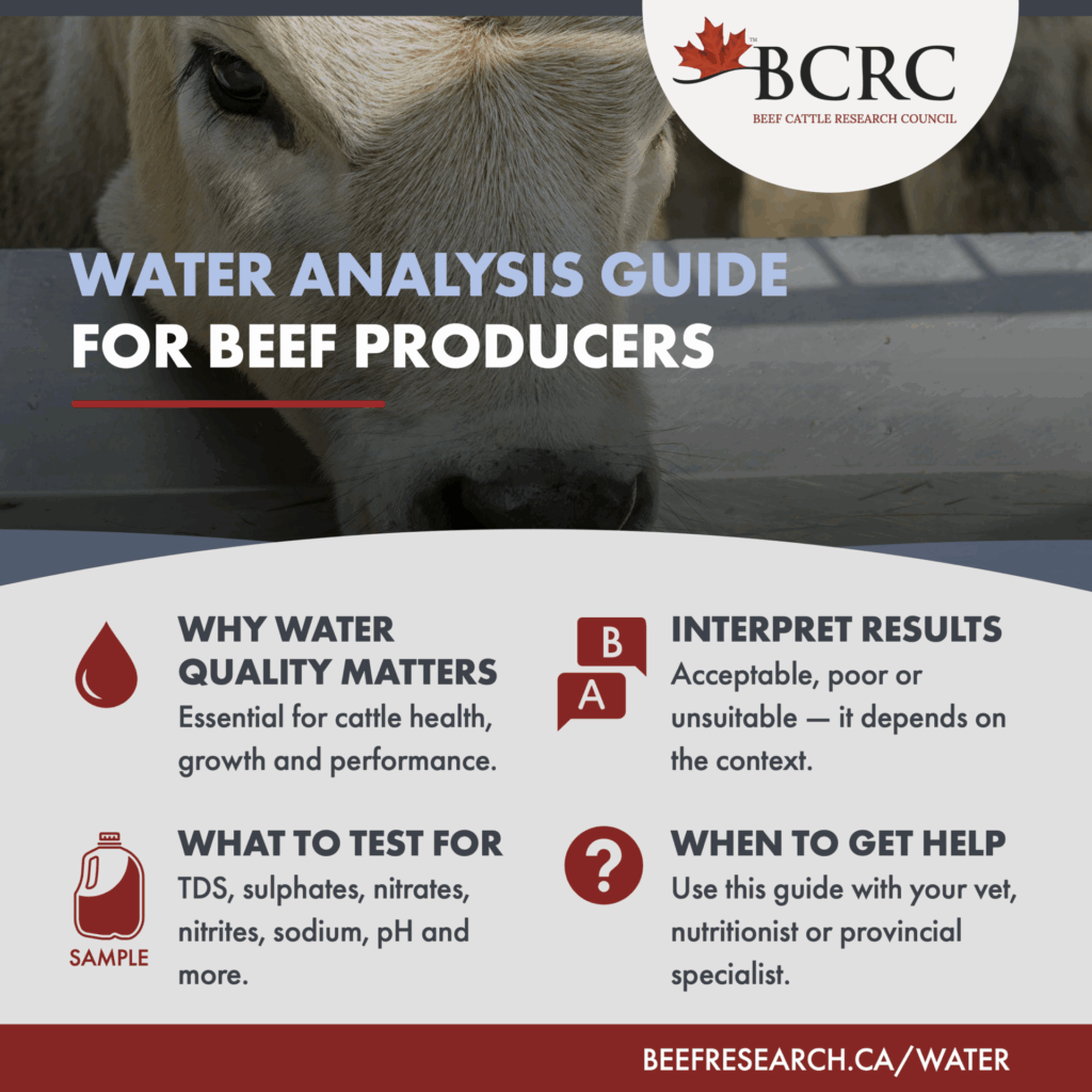 water analysis guide for beef producers