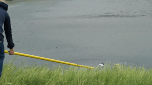 water testing
