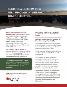 Black Diamond Agro genetic case study