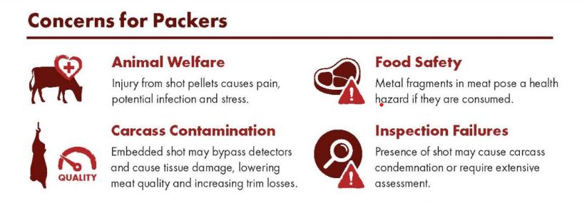 foreign material concerns for beef packers