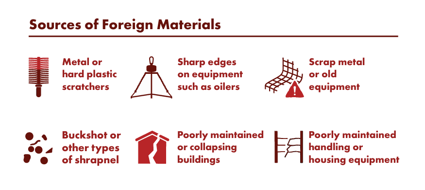 sources of foreign materials in cattle hides and meat
