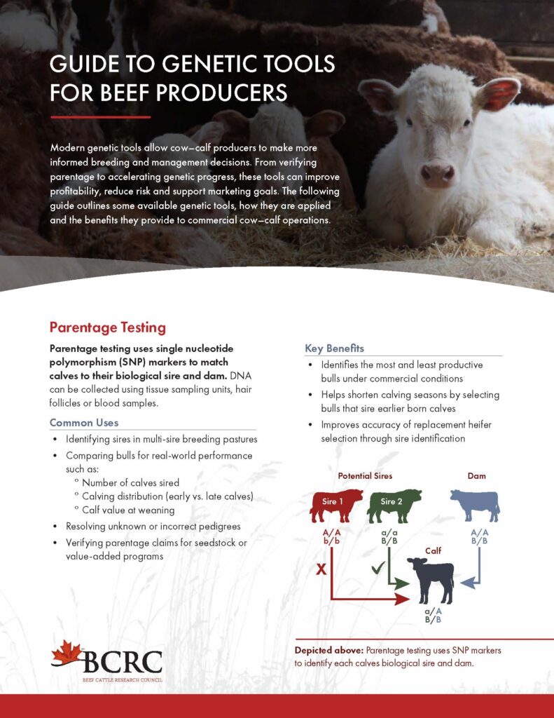 guide to genetic tools for beef producers