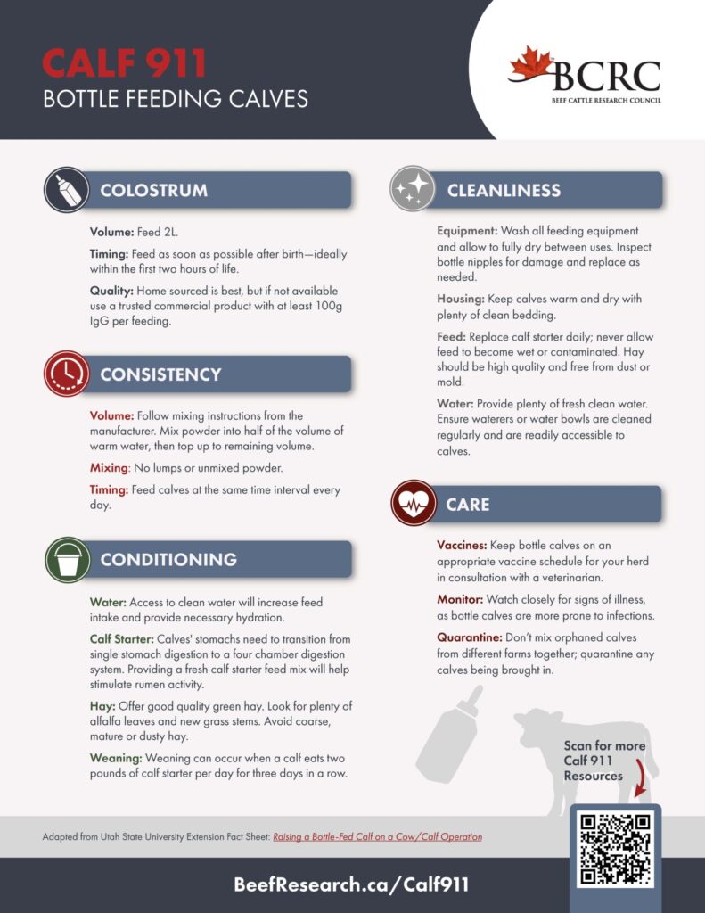 Calf 911 bottle feeding guide