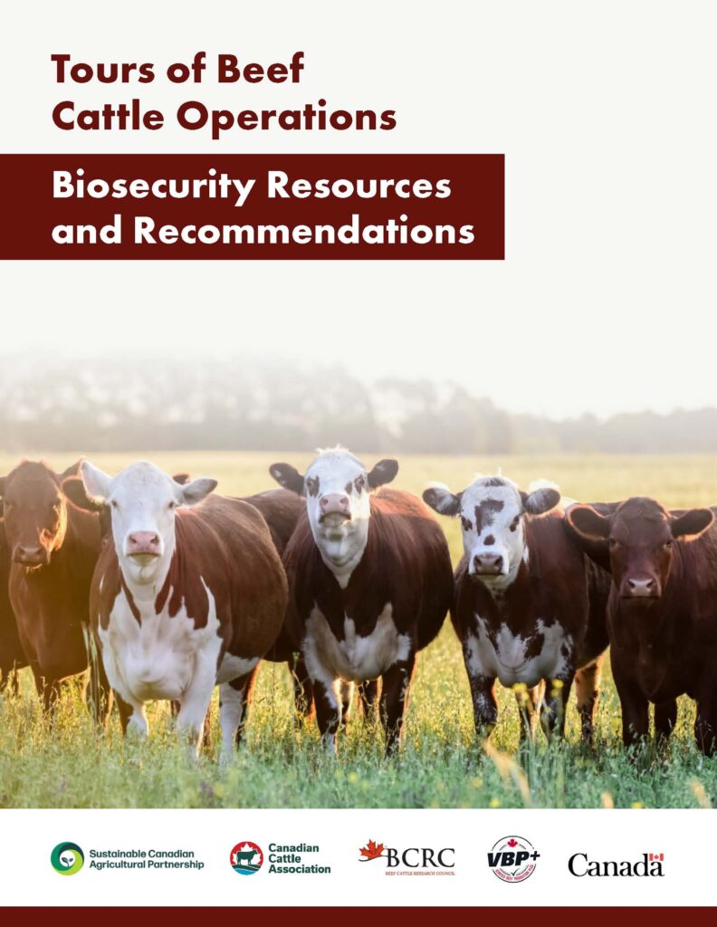 biosecurity resources and recommendations for tours of cattle operations