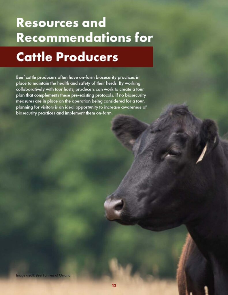 farm tour guide for cattle producers