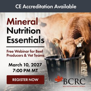 BCRC webinar: Mineral Nutrition essentials